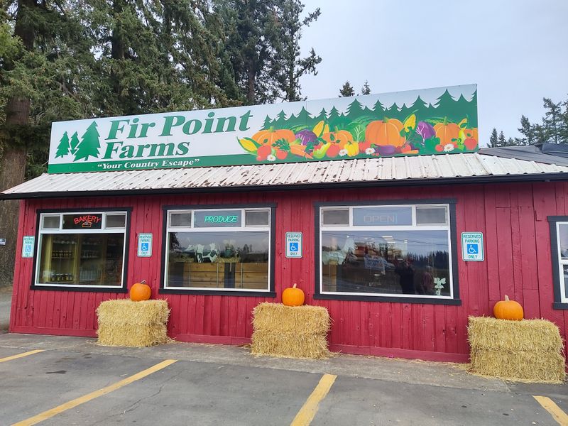 Fir Point Farms U-Pick Flowers &mdash; Aurora, OR
