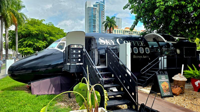 Outdoor Park Setting