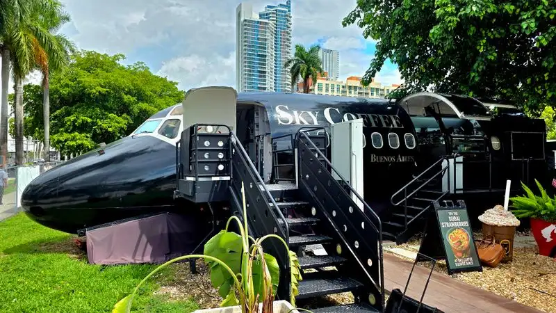 Outdoor Park Setting