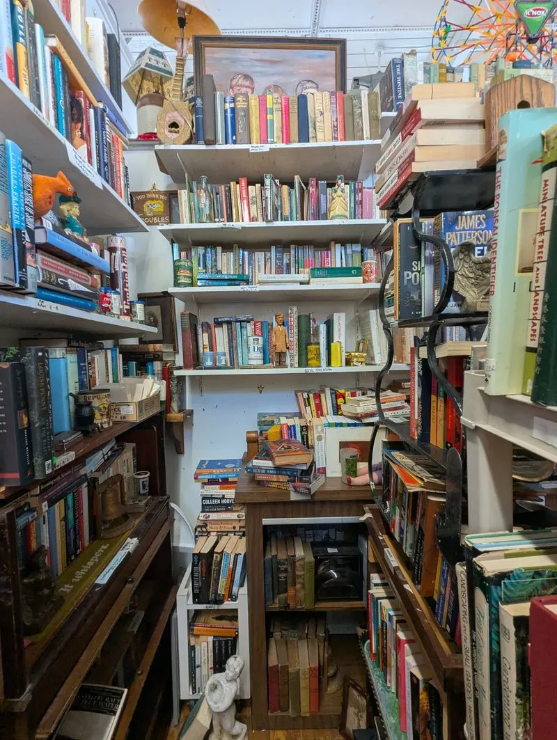 Vinyl, books, and media shopping