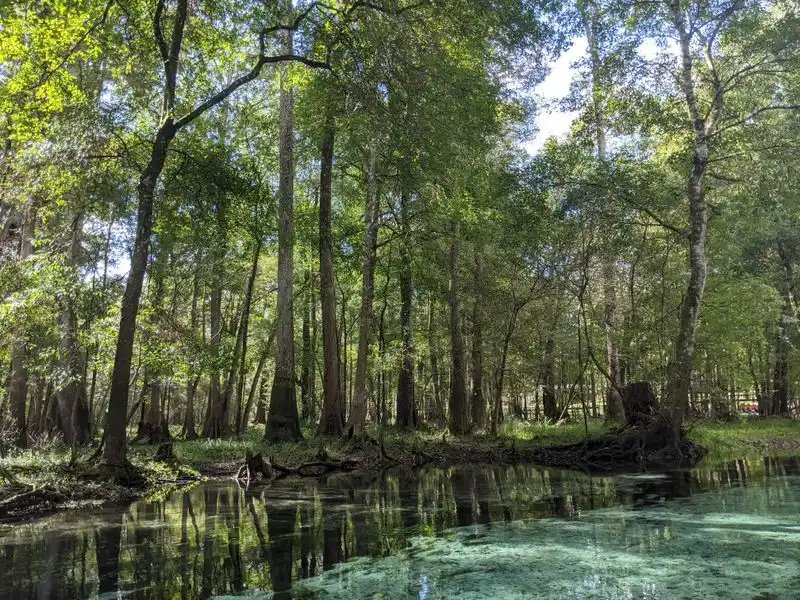 Birdwatching Wonders