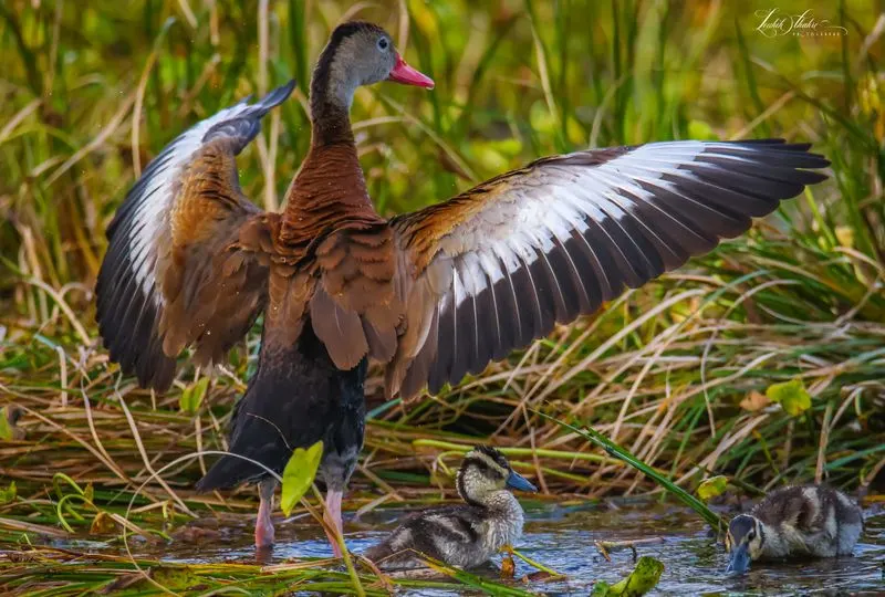 A One-Day Photo Itinerary You Can Trust