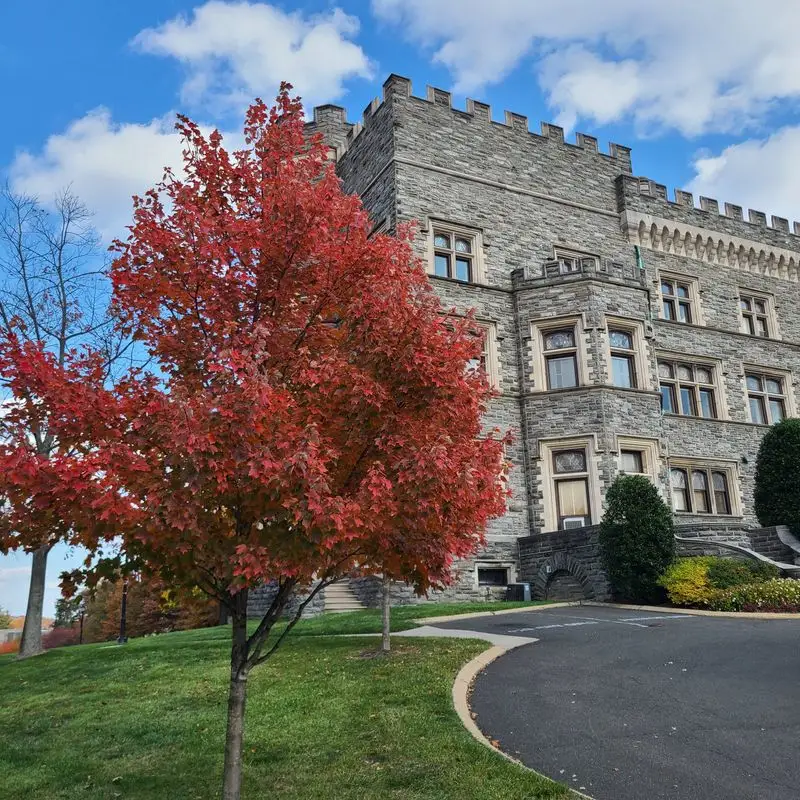 Glenside&rsquo;s Small-Town Charm