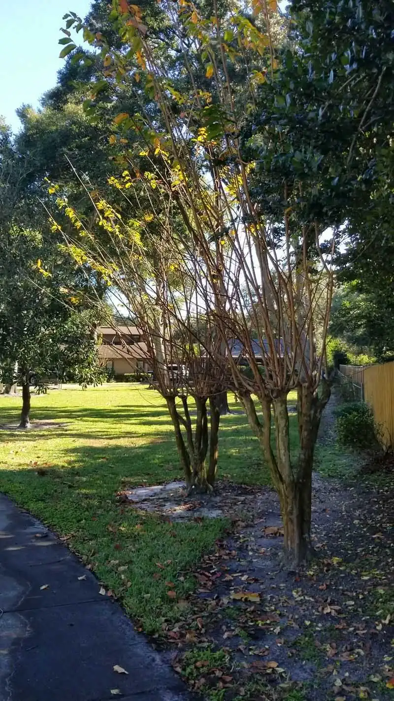 Gotha: A Charming Historic Florida Town