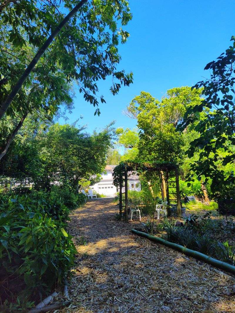 Visitor Experience: What to Expect