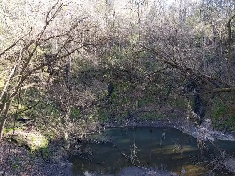 Natural history and geology in plain language