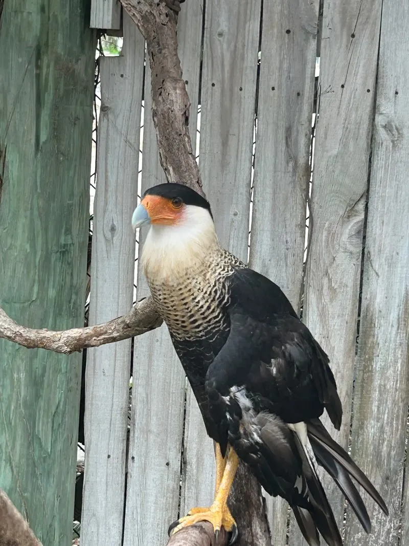 Interactive Exhibits