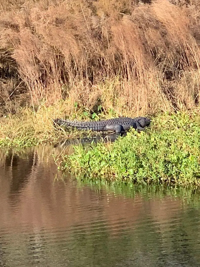 When to visit for the best wildlife views