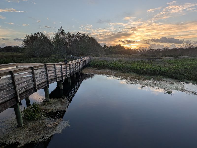 Green Cay Wetlands Boardwalk &ndash; Boynton Beach