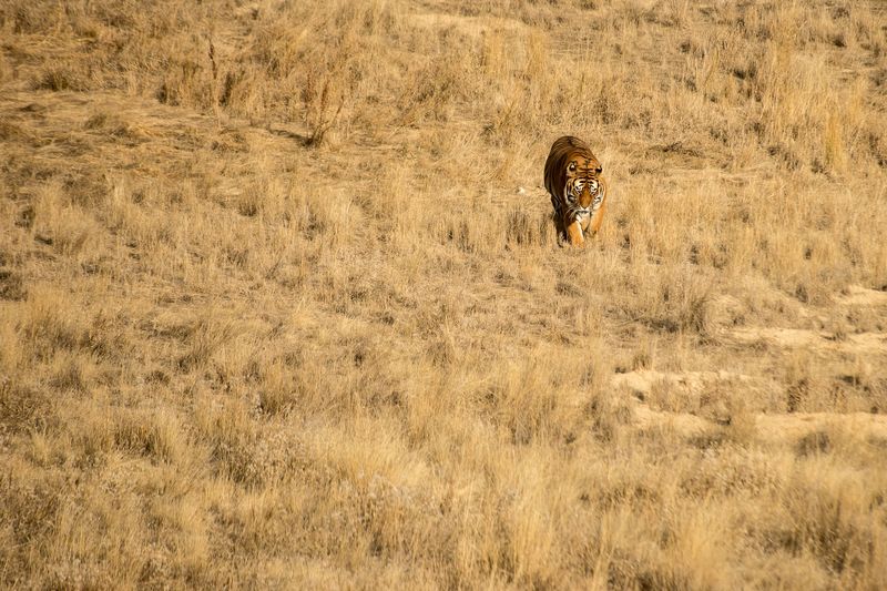 A Sanctuary Unlike Any Other