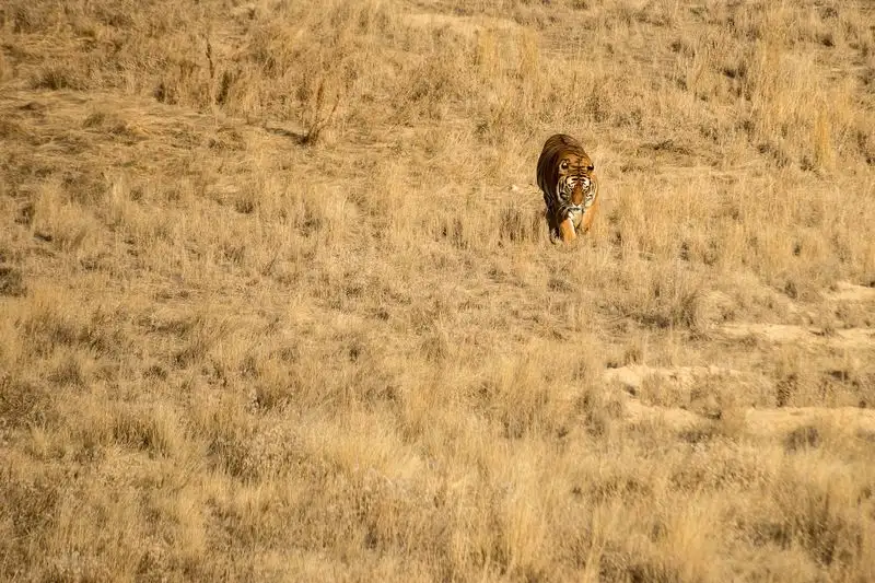 A Sanctuary Unlike Any Other