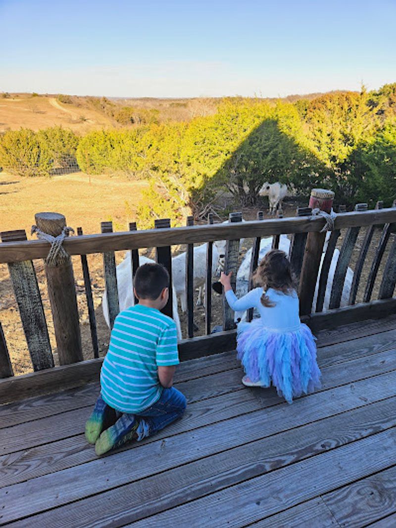 Family And Group Magic