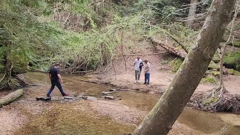 Leave No Trace And Respectful Wildlife Watching