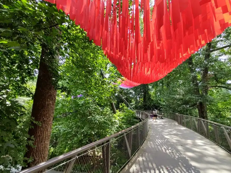 Canopy Walk and Storza Woods