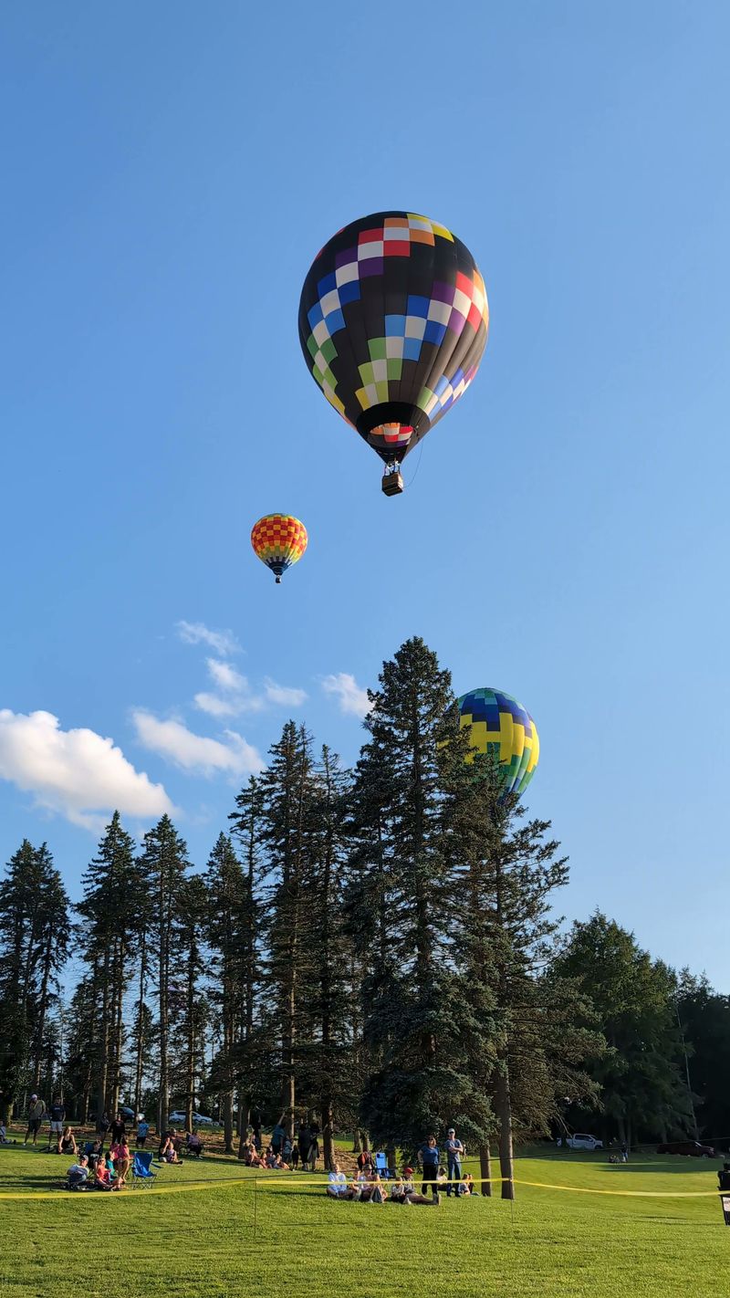 A Brief History of the Festival