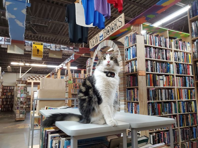 Photo Ops: Painted Spines And Cozy Corners