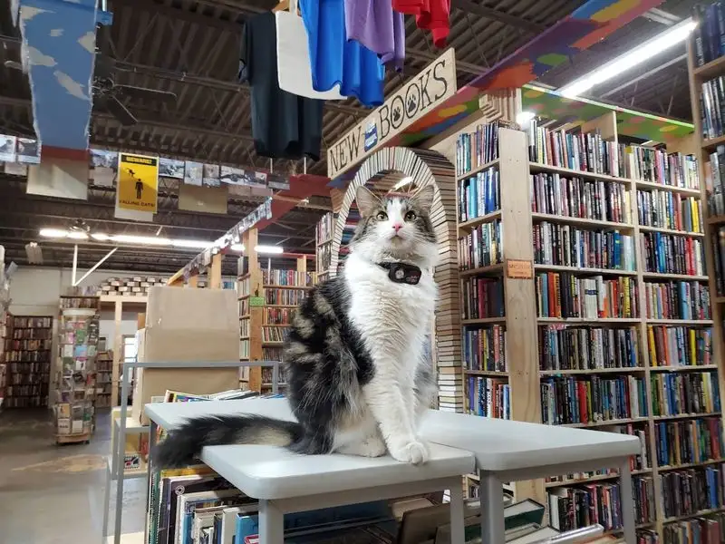 Photo Ops: Painted Spines And Cozy Corners