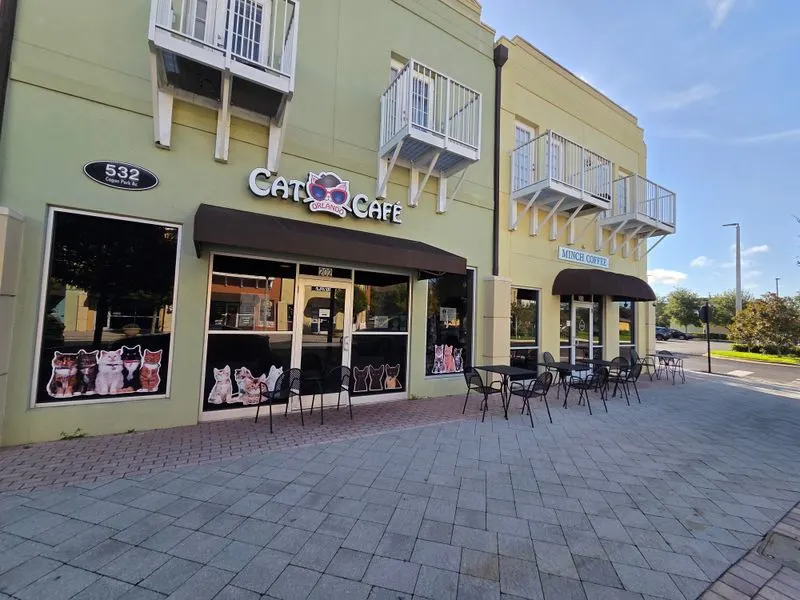 First Visit Game Plan