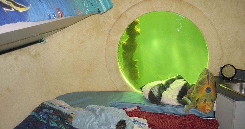 Food, Drinks, And Special Requests