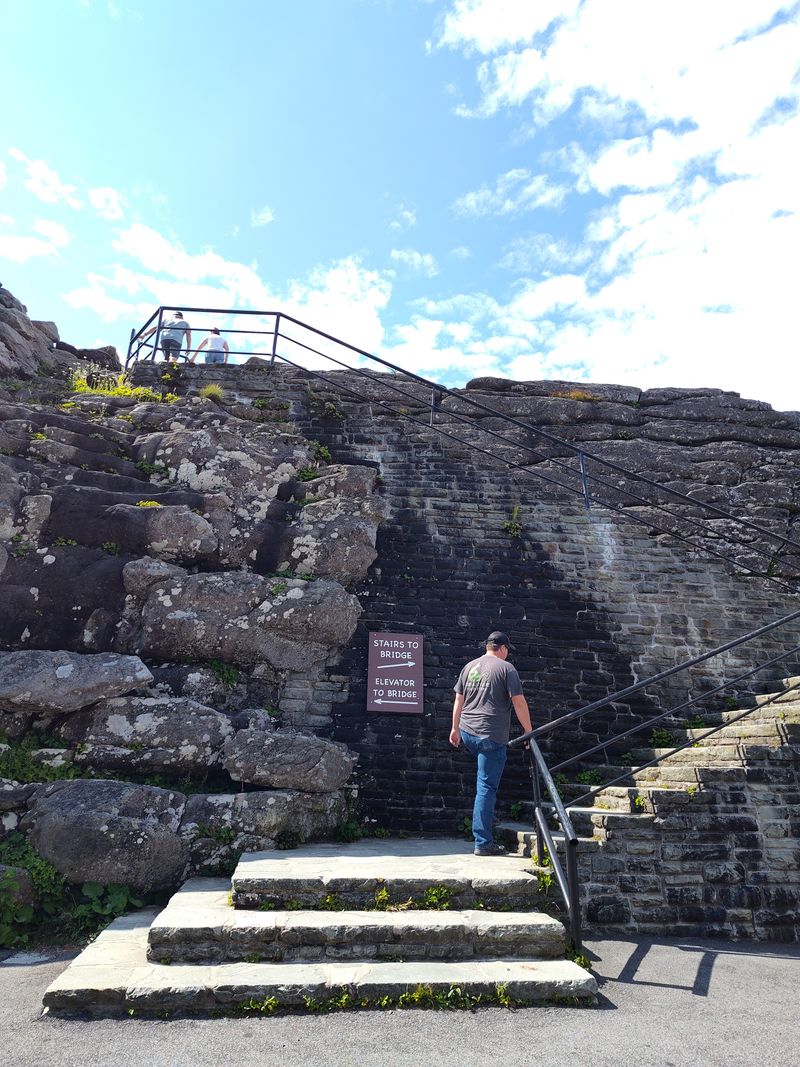 Accessibility, Elevators, And Who Should Go