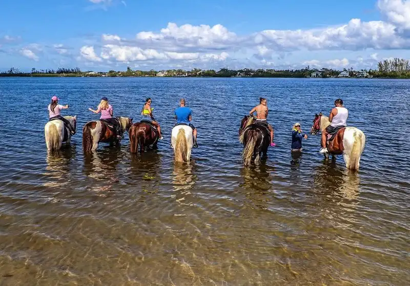 Safety, Skills, and Rider Tips