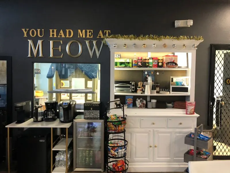 Snacks, drinks, and what the cafe part means