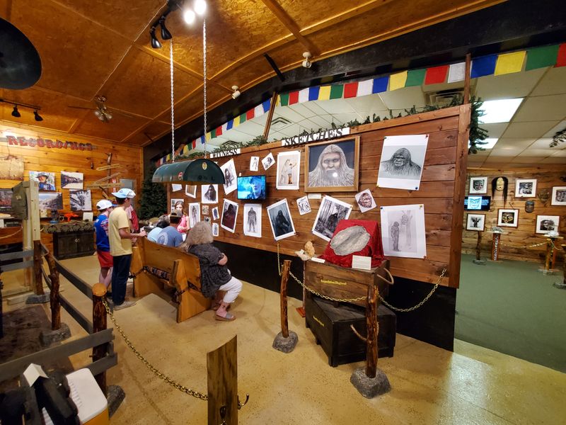 World&rsquo;s largest and what that means