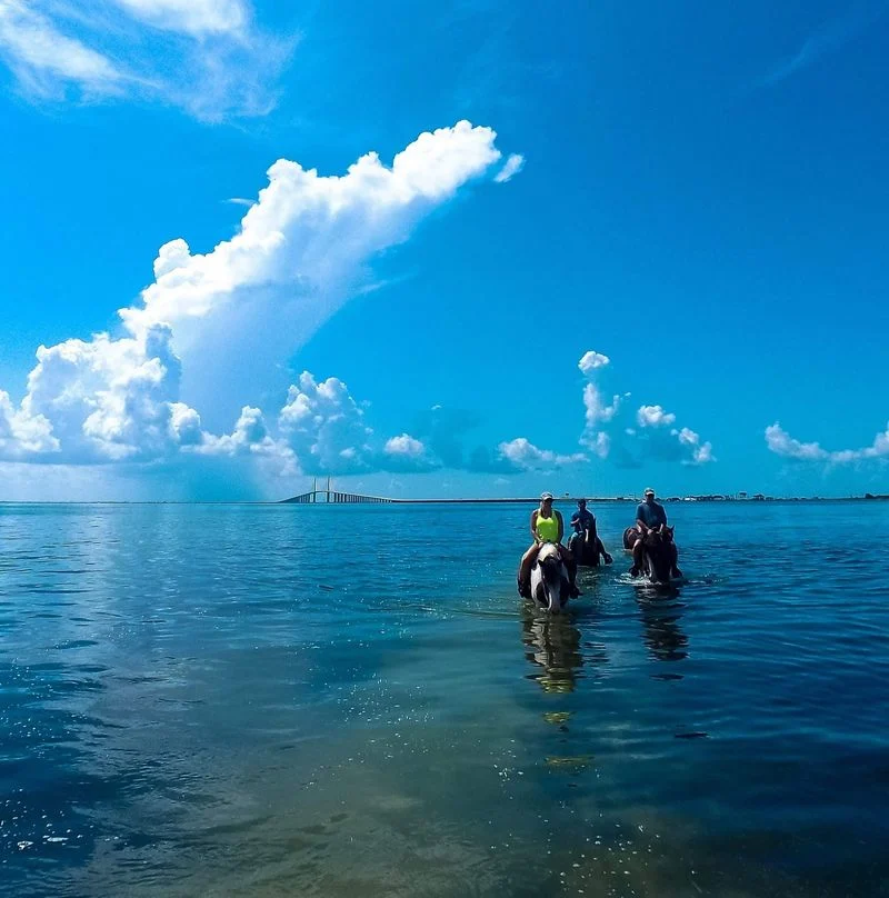 Photography Package and Memories