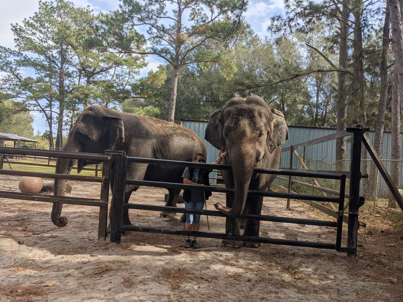 Guided tour highlights