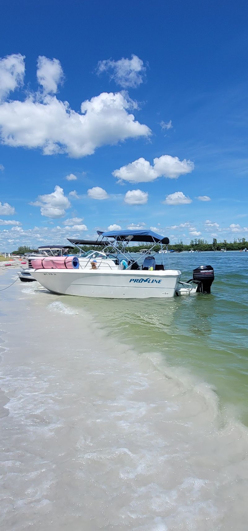 Food on the island: Groceries, cooking, and treats