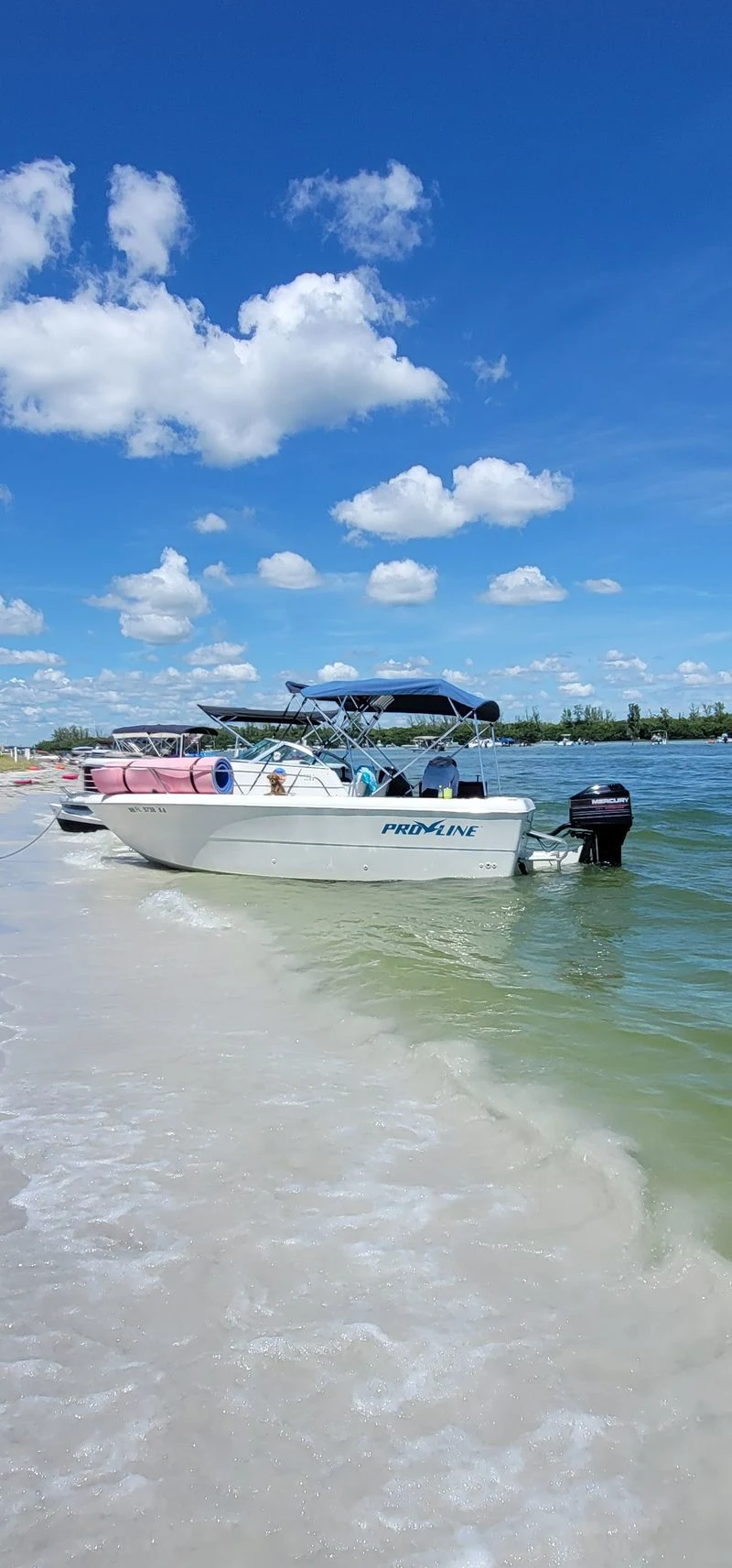 Food on the island: Groceries, cooking, and treats