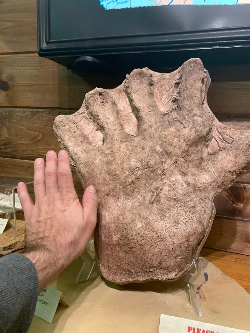 Notable artifacts and donations