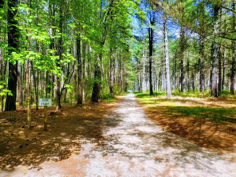 Underfoot and conditions: wide walks, boardwalks, and mud spots