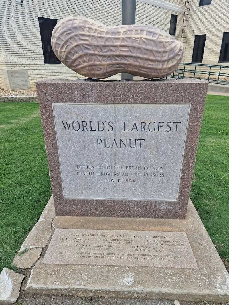 World's Largest Peanut 