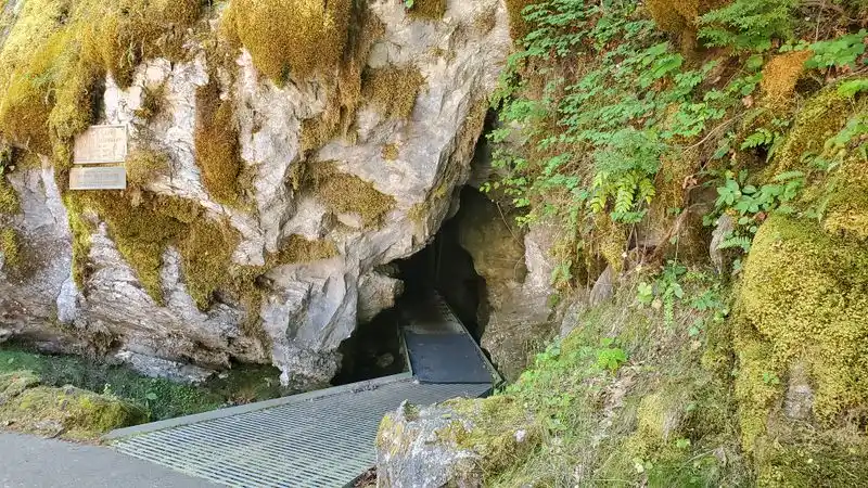 Nearby Nature: Oregon Caves and Siskiyou Edges