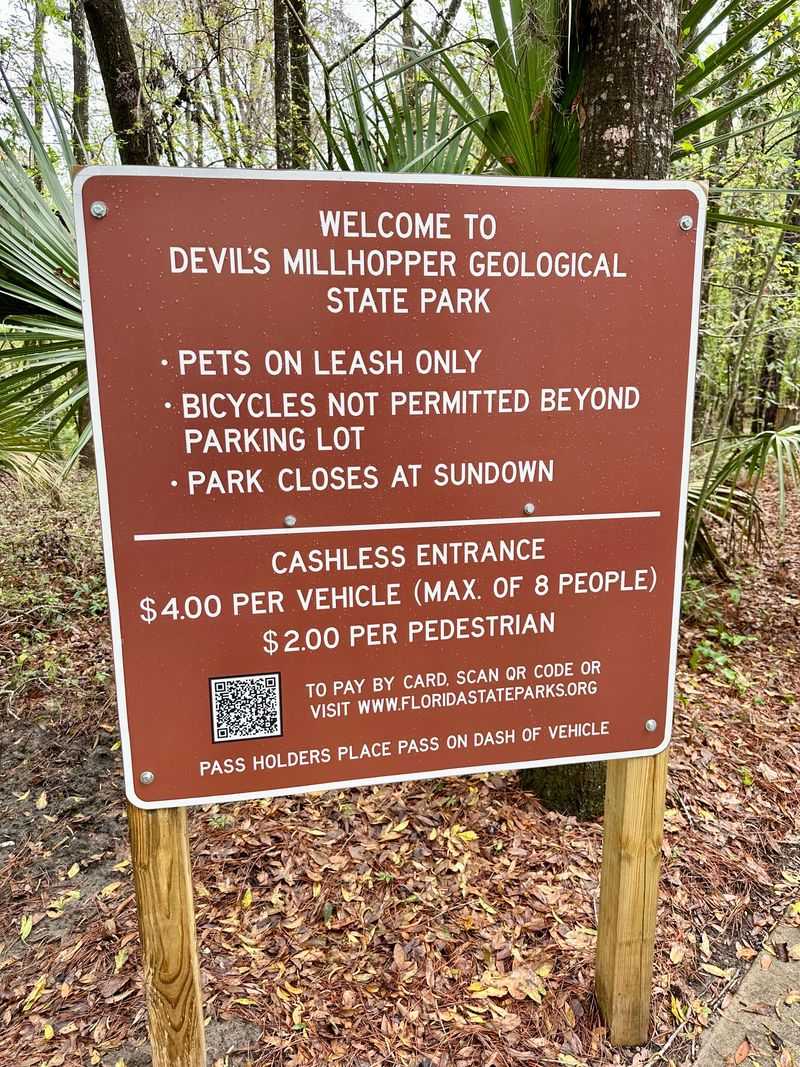 Accessibility, safety, and realistic expectations