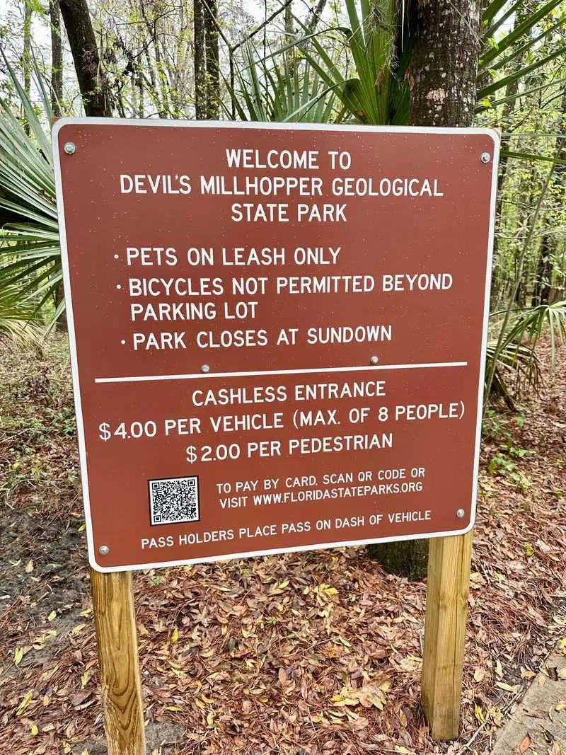 Accessibility, safety, and realistic expectations