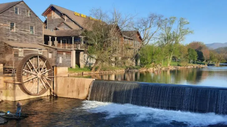 Where Floridians go when they want a real vacation