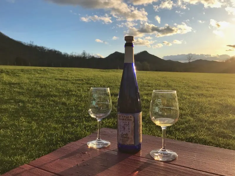 Wine Country, Waterfalls, and Rabun Terroir