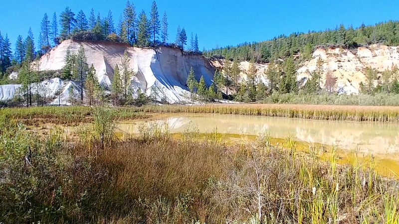 A Landscape That Changed American Environmental Law