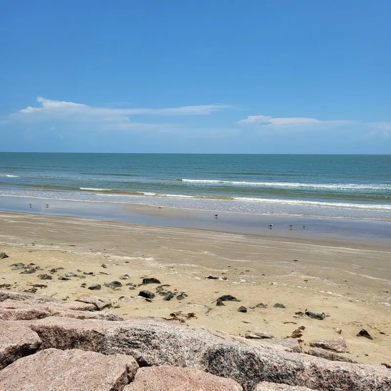 Waves for company, time on vacation