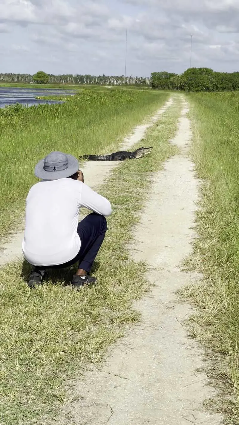 Alligators as Compositional Anchors