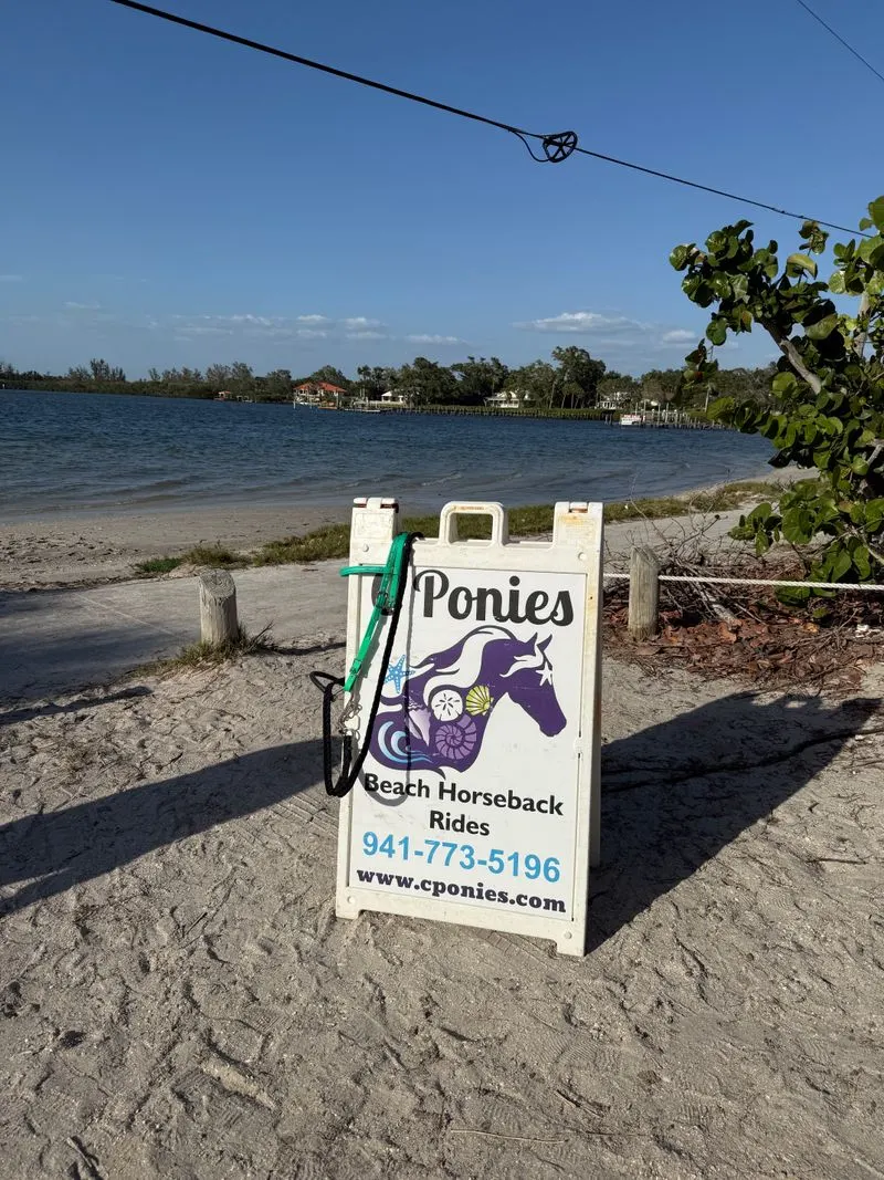 Location, Hours, and How to Book