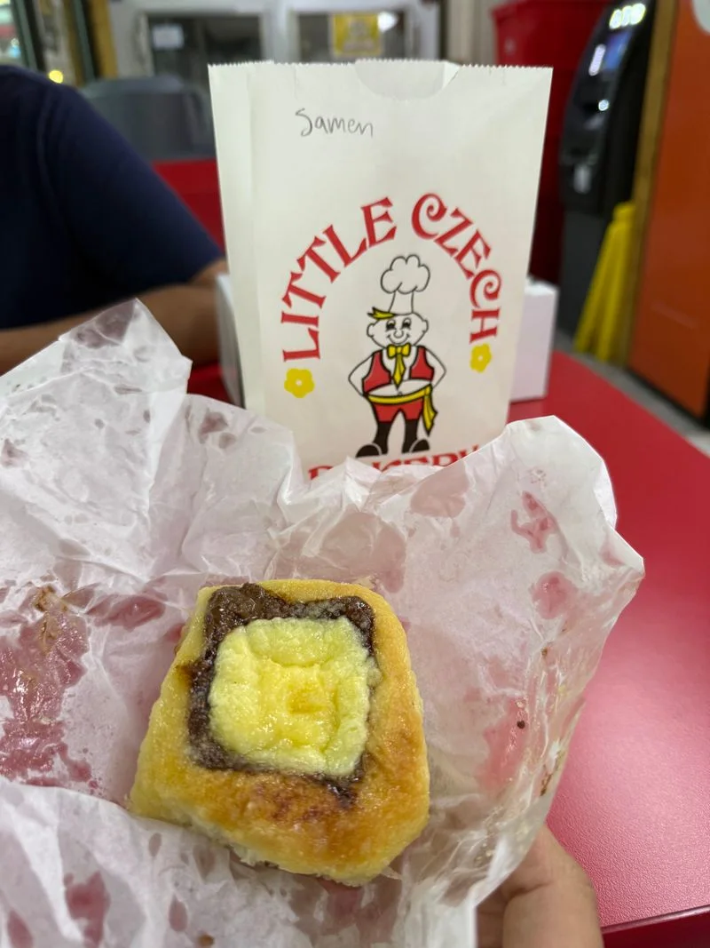 A Quick History and Czech Roots