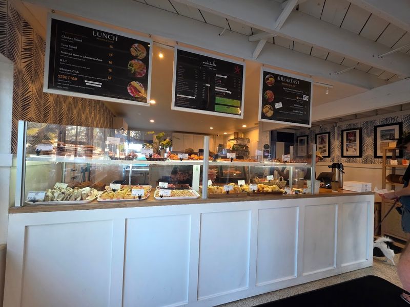 Essential Visitor Information