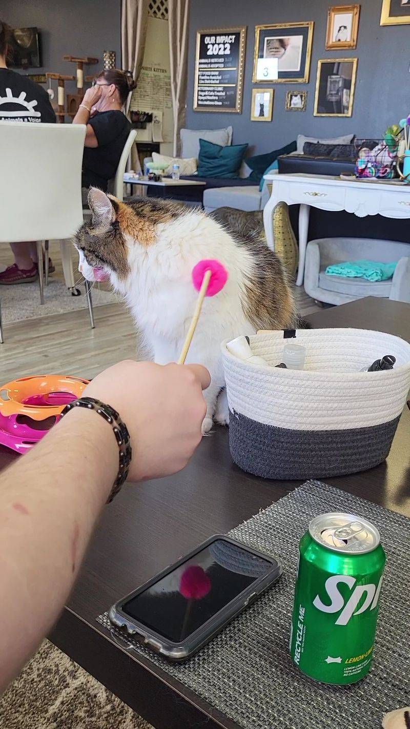 What to know before you go