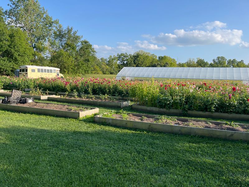 Muddy Acres Flower Farm — Plymouth