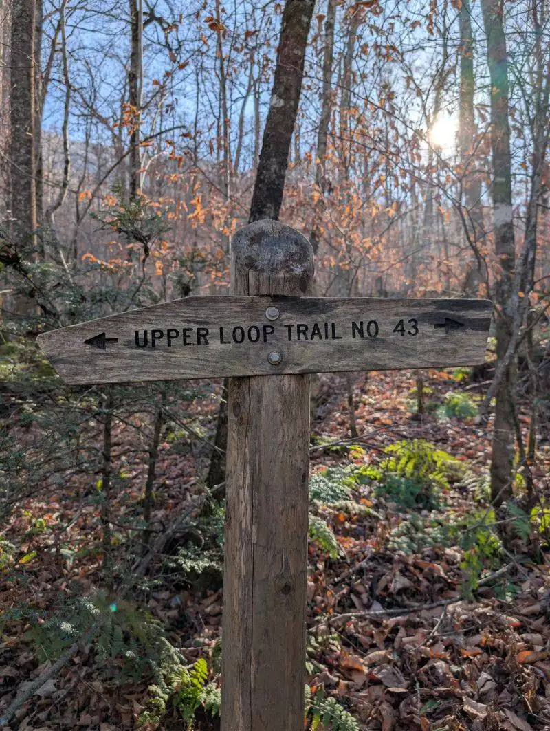 Accessibility, difficulty, and who will love it