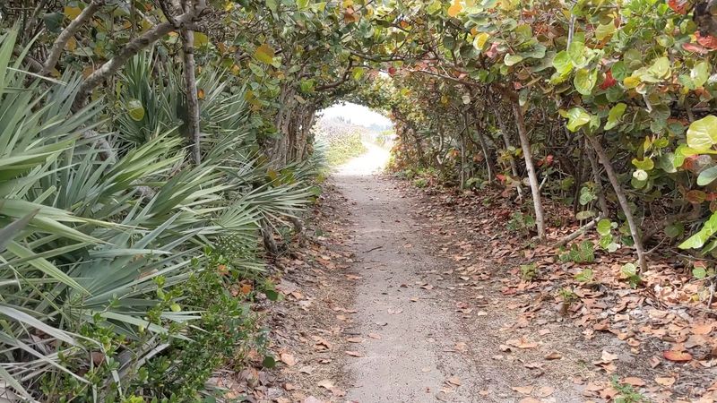 Best Times of Day for the Most Unreal Atmosphere