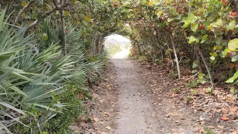 Best Times of Day for the Most Unreal Atmosphere